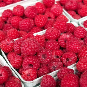 Erdbeeren, Himbeeren, Heidelbeeren/Blaubeeren entsaften | EUJUICERS.DE