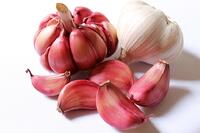 Knoblauch | EUJUICERS.DE